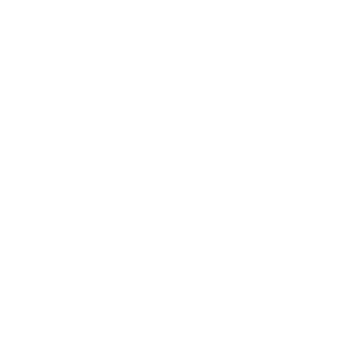imigration-icon