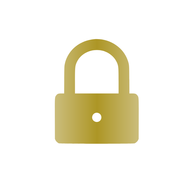 asset-icon