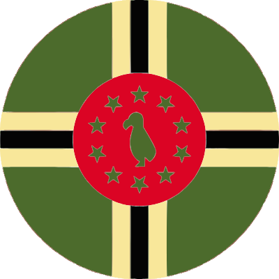 Flag Representative Icon