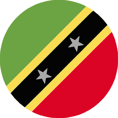Flag Representative Icon