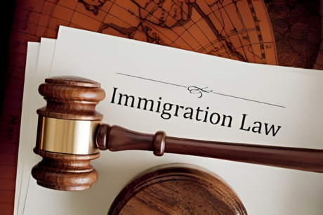 immigration-law